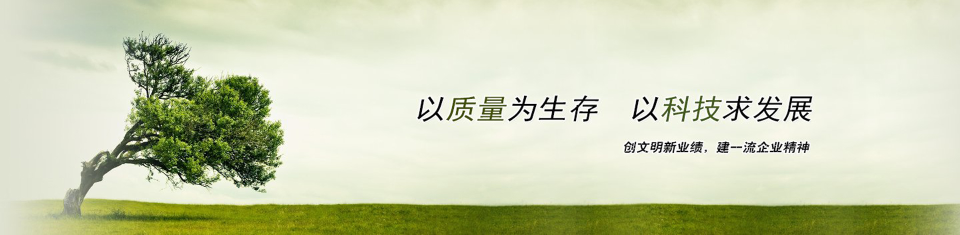 聚酯網(wǎng)